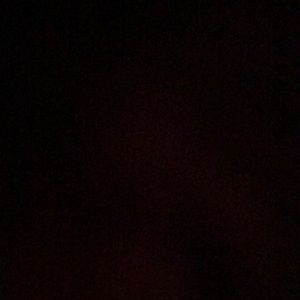 Meet your Posher, Marla